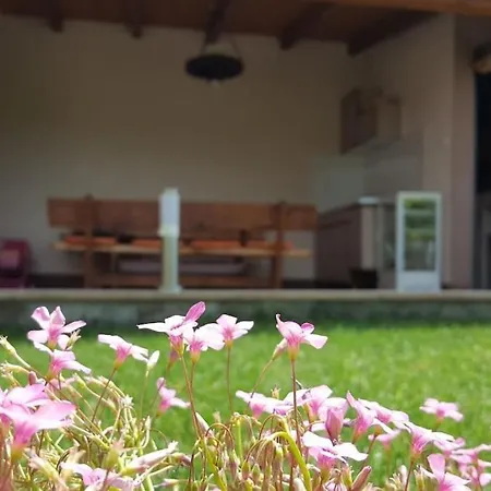 Apartman Nylo *