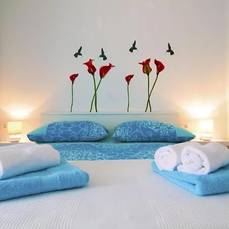 아파트 Nylo 스플리트