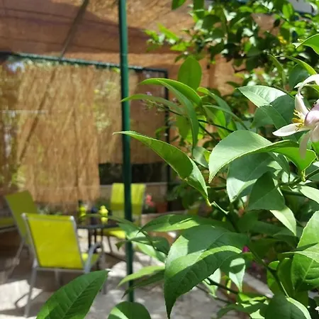 Nylo 아파트 스플리트